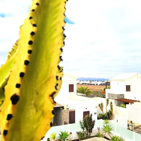 Villa Vista With Heated Pool & Jacuzzi *